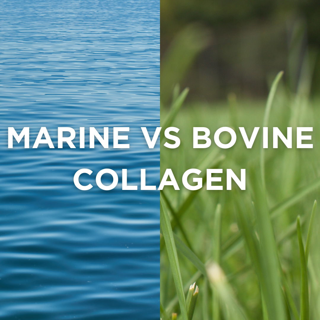 Marine collagen vs Bovine collagen