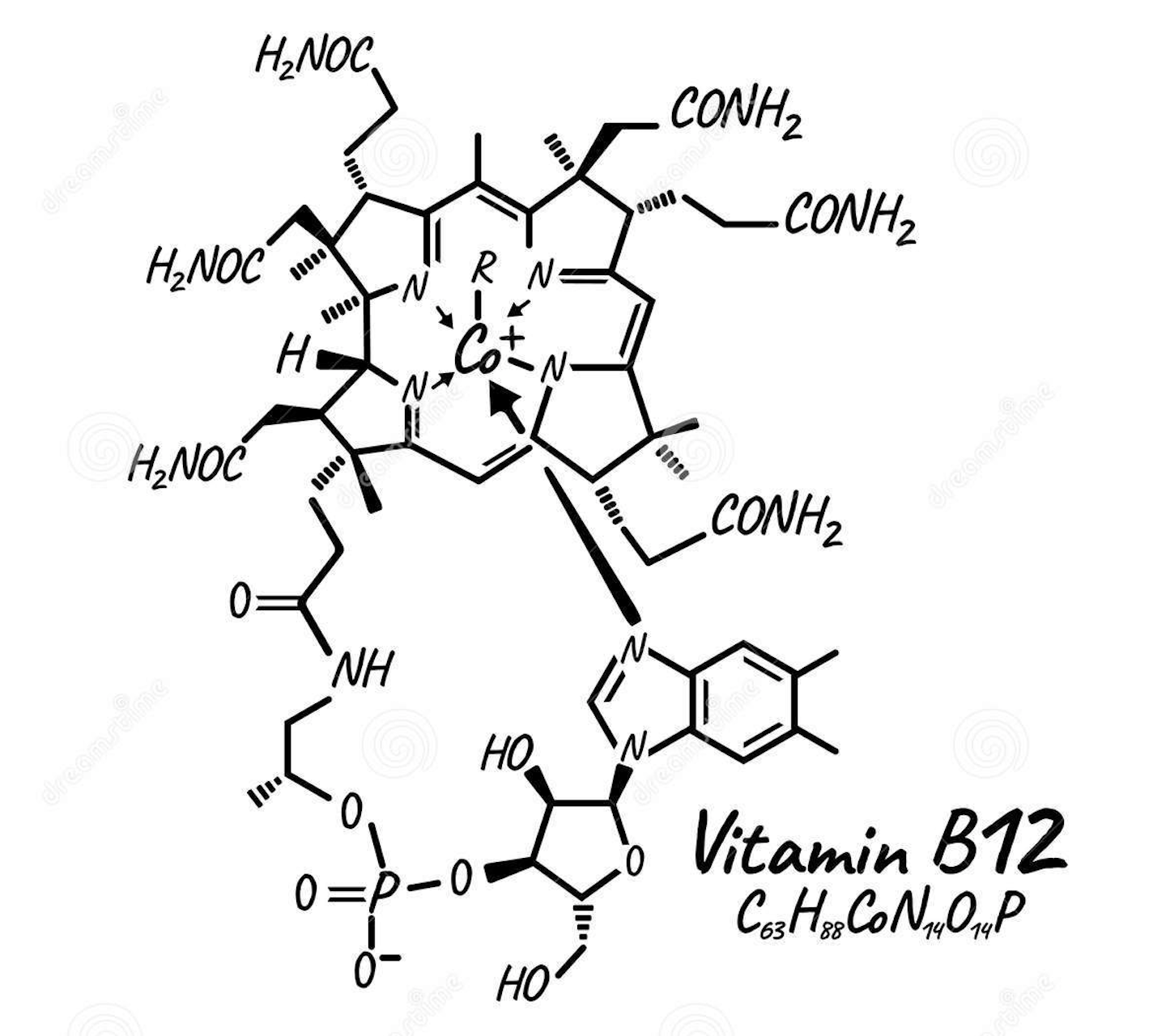 How to get more vitamin B12