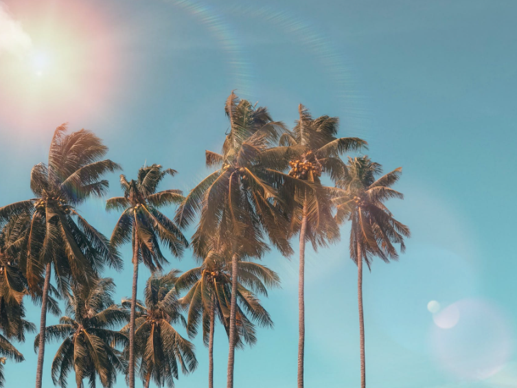 Collagen supplements: Three reasons why you should be taking them this summer