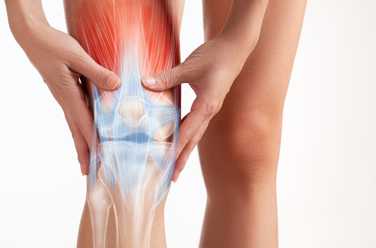 How do collagen and vitamin C repair tendons and ligaments?