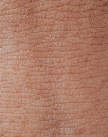  Is marine collagen good for skin? 