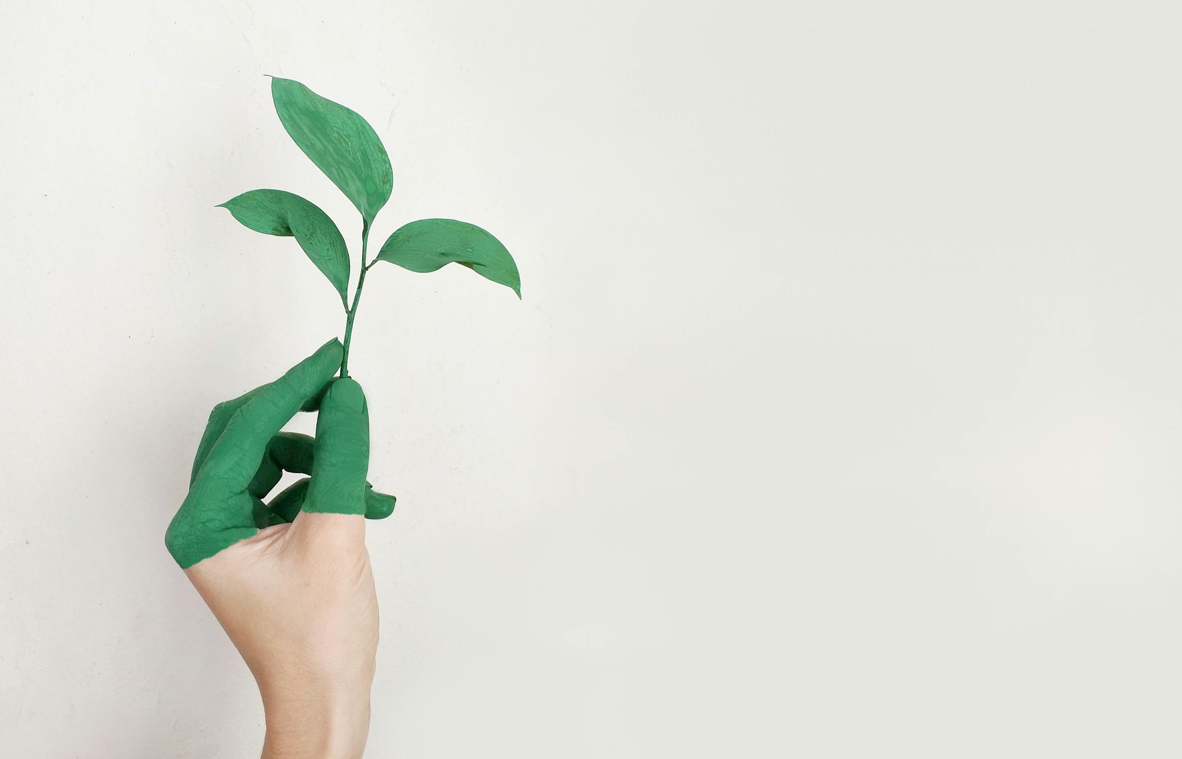 sustainability banner