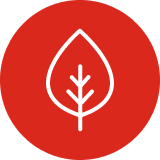 Sustainability