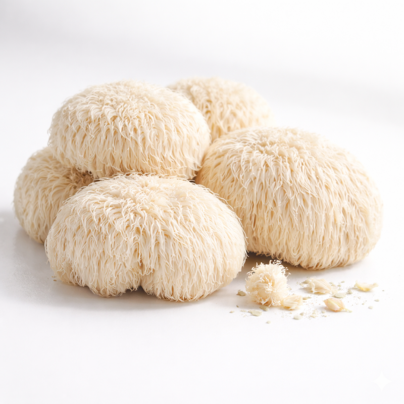Lion's Mane